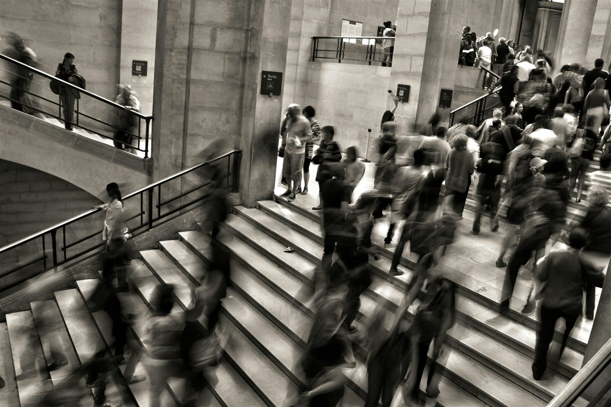 Immigration Law
